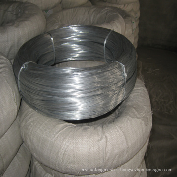 Elecric Galvanized Iron Wire for Sale (avec ISO et SGS)